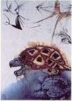 Dali: The Mock Turtle's Story, LE Lithograph